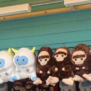 Meet your Posher, Ana